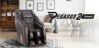 Daiwa pegasus best sale