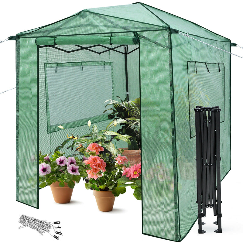 Portable Walk-in Greenhouse  with Window-Green