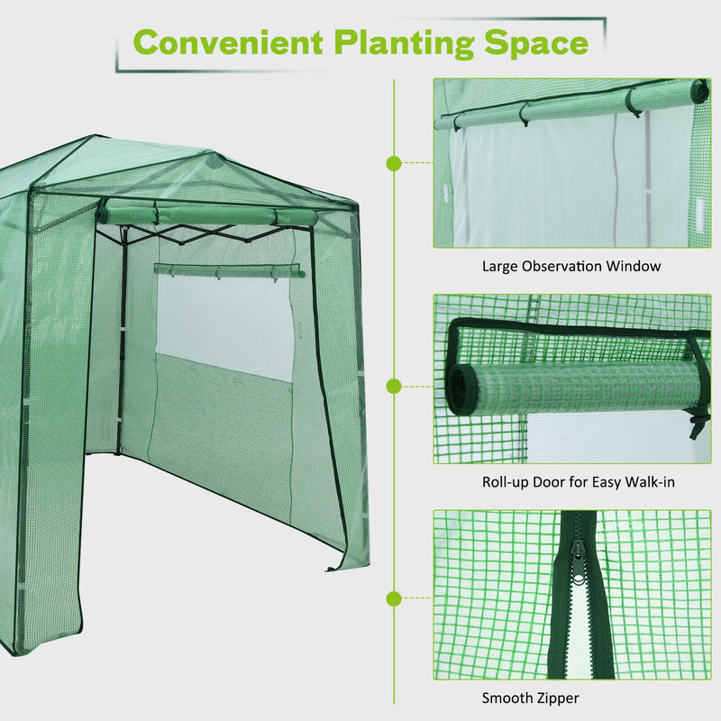 Portable Walk-in Greenhouse  with Window-Green