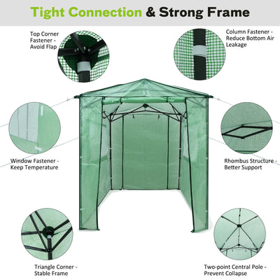 Portable Walk-in Greenhouse  with Window-Green