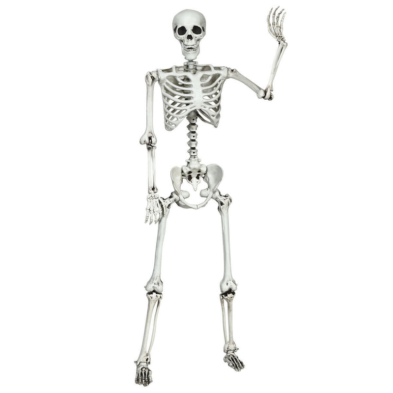 5.4 Feet Halloween Skeleton Life Size Realistic Full Body Hanging