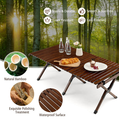 Portable Picnic Table with Carry Bag for Camping and BBQ-Brown