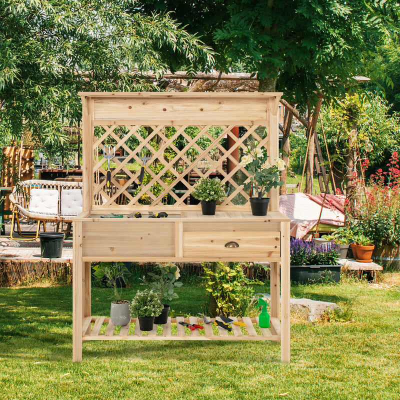 Wood Raised Garden Bed with Trellis