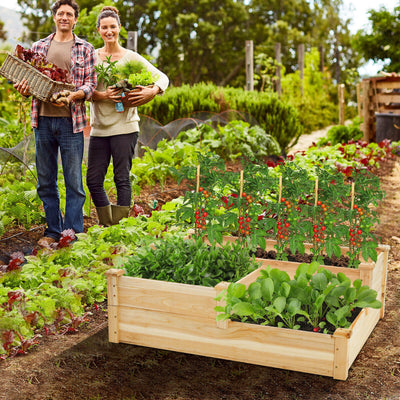 3-Tier Wooden Raised Garden Bed with Open-Ended Base-Natural