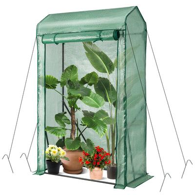 Walk-in Garden Greenhouse Hot House Tomato Plant Warm House