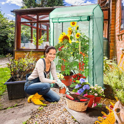 Walk-in Garden Greenhouse Hot House Tomato Plant Warm House