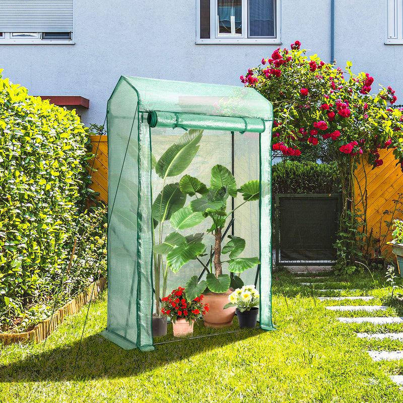 Walk-in Garden Greenhouse Hot House Tomato Plant Warm House