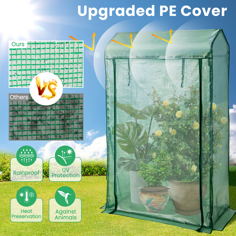 Walk-in Garden Greenhouse Hot House Tomato Plant Warm House