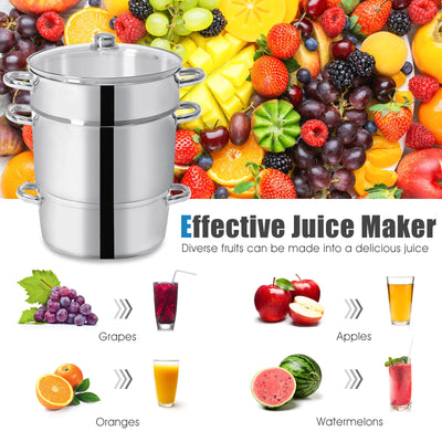 11-Quart Stainless Steel Fruit Juicer Steamer