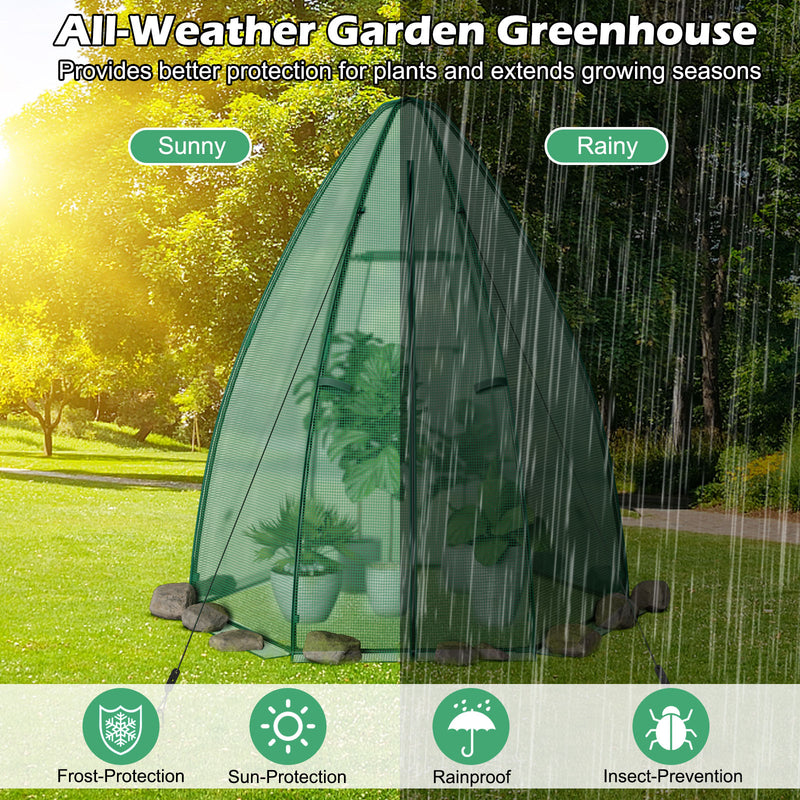 5.5 x 5.5 x 6 Feet Portable Mini Greenhouse with All-Weather PE Cover