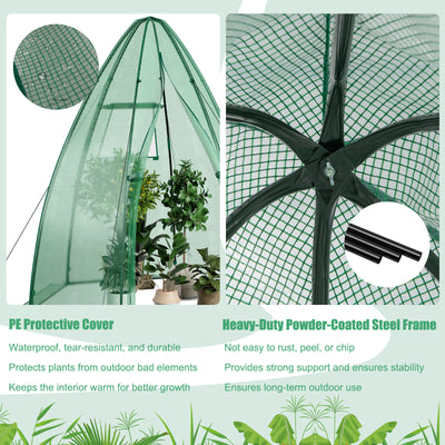 5.5 x 5.5 x 6 Feet Portable Mini Greenhouse with All-Weather PE Cover