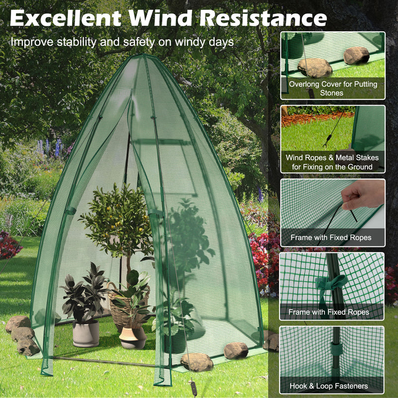 5.5 x 5.5 x 6 Feet Portable Mini Greenhouse with All-Weather PE Cover