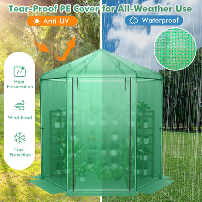 Walk-In Hexagonal Greenhouse with PE Cover and Metal Frame