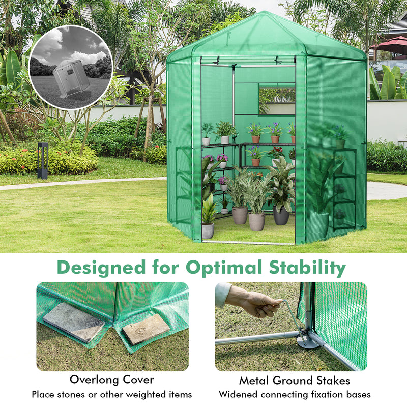 Walk-In Hexagonal Greenhouse with PE Cover and Metal Frame