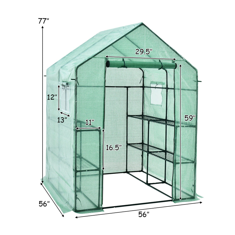 Walk-in Greenhouse 56 x 56 x 77 Inch Gardening with Observation Windows