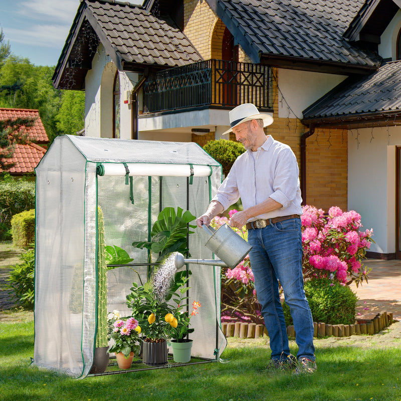 Walk-in Garden Greenhouse Warm House for Plant Growing