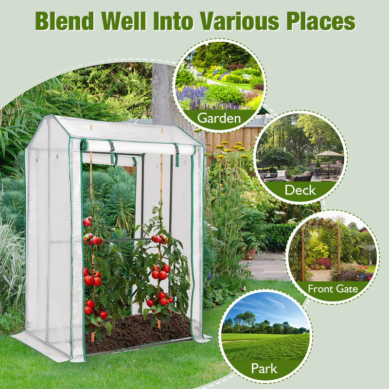 Walk-in Garden Greenhouse Warm House for Plant Growing