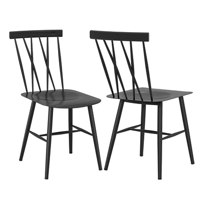 Set of 2 Modern Dining Chairs with Backrest