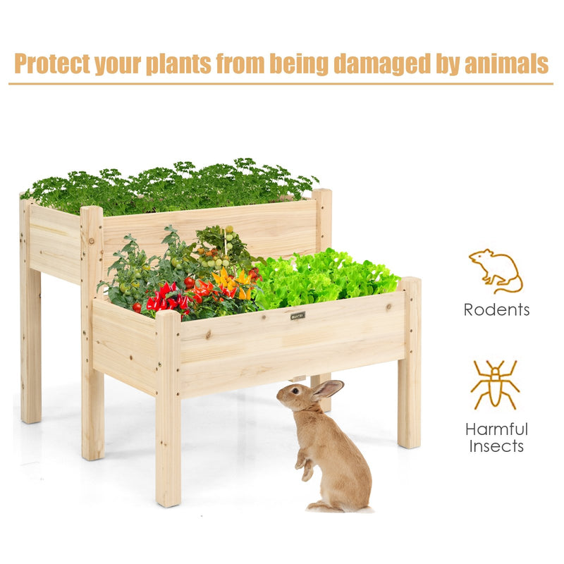 2 Tier Wooden Elevated Planter Box with Legs and Drain Holes