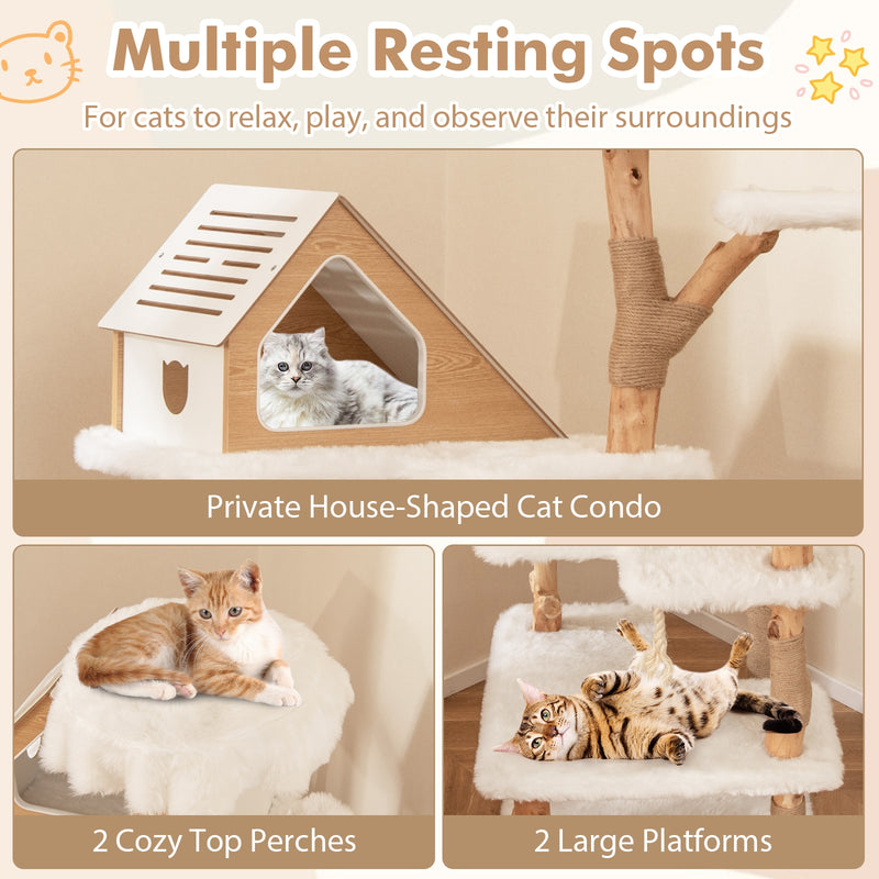 60 Inch Tall Solid Wood Cat Tree Modern Wooden Cat Tower with 2 Perches-White