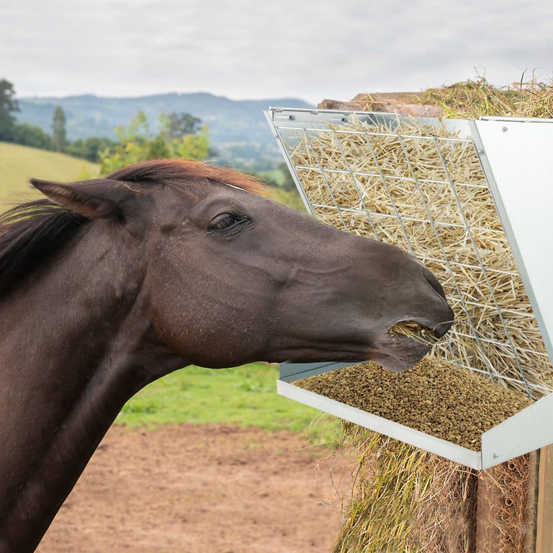 2-in-1 Wall-Mounted Hay Rack Hay and Grain Feeder with Adjustable Hooks-Silver