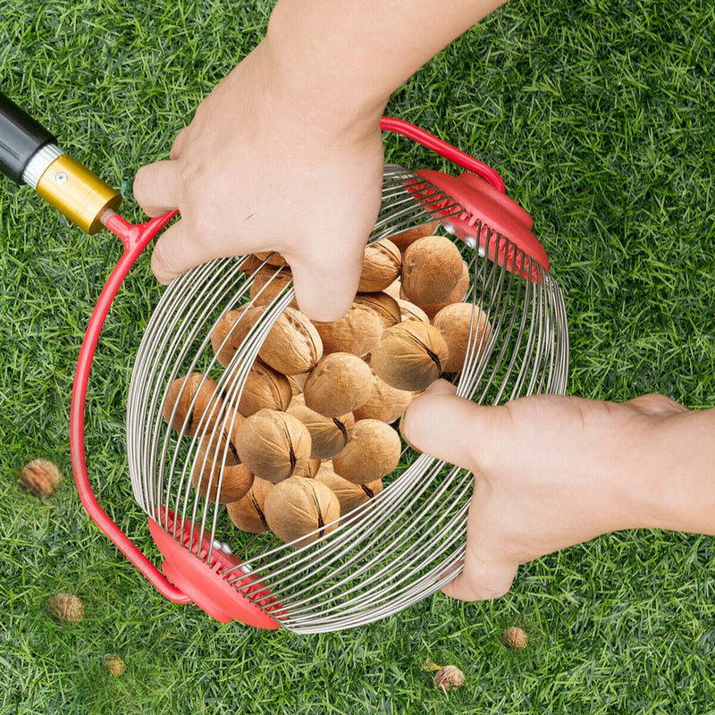 Medium Rolling Nut Gatherer for Balls Nuts and Other Objects