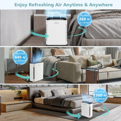 H13 True HEPA Air Purifier with Adjustable Wind Speeds-White