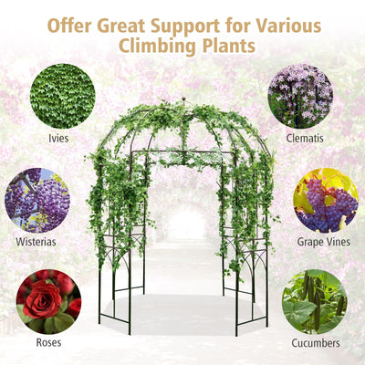 8.4 x 7 Feet Wide Birdcage Shape Garden Arbor