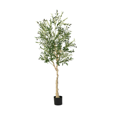 6 Feet  Artificial Olive Tree in Cement Pot-1 Piece