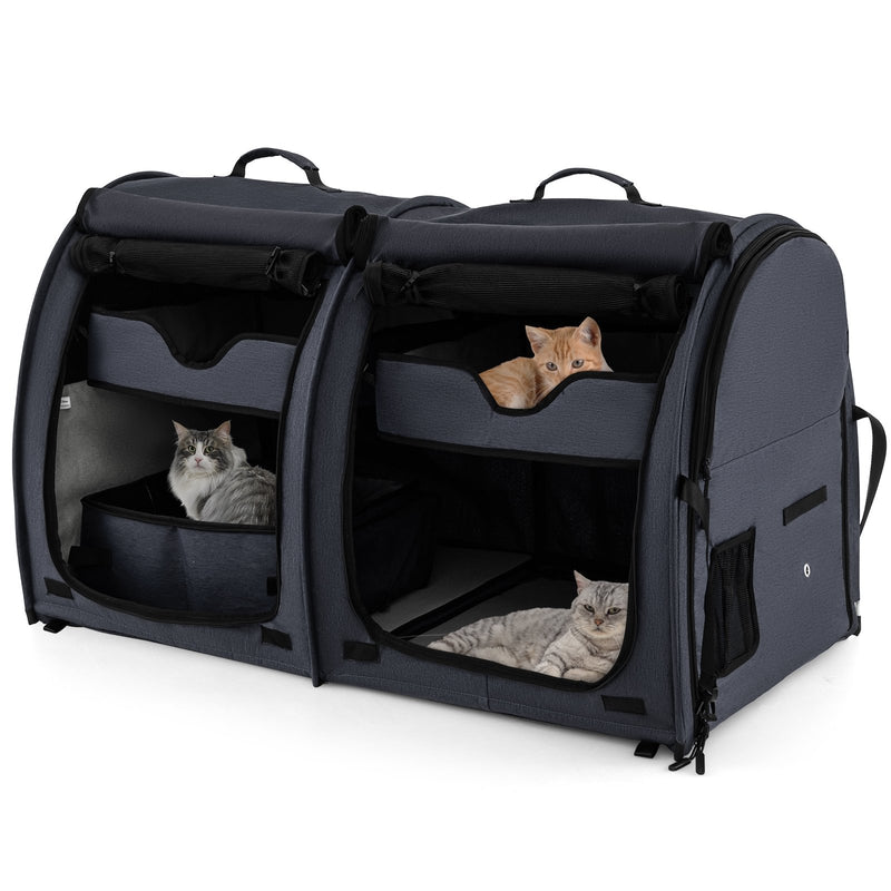 Double Compartment Pet Carrier with 2 Removable Hammocks-Black