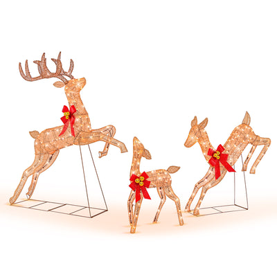 3 Pieces Lighted Christmas Reindeer Family Set with 255 Lights