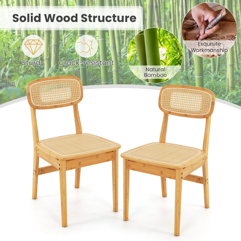 Set of 2 Rattan Dining Chairs with Simulated Rattan Backrest-Natural